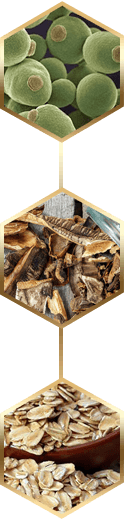 beta glucans ingredients